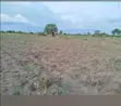 1 Acre Mixed-Use Land for Sale in Gulu - 1