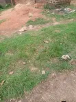 Plot of Land for Sale in Lukwanga, Sentema Road - 1