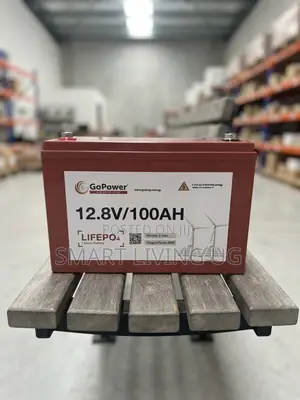 GoPower 12.8V 100Ah LiFePO4 Lithium Solar Battery