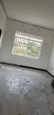 Professional Painter - 2