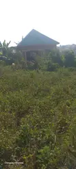 Plot for Sale in Mukono Kiwala - 2