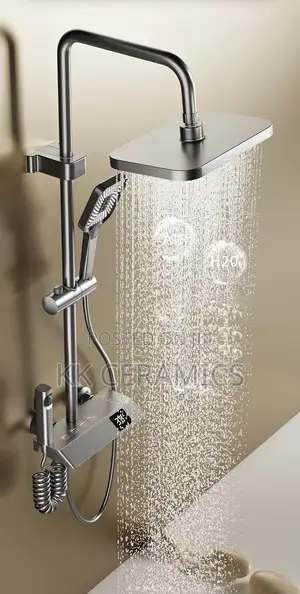 Four Function Shower Mixer