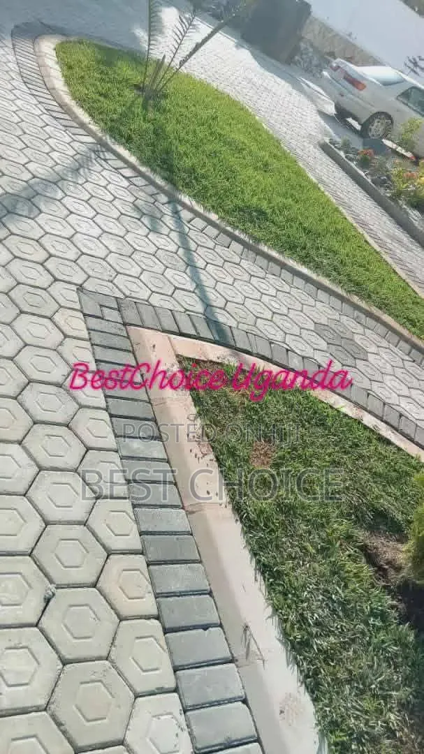 Expert Pavers Installation & Landscaping Services - 1