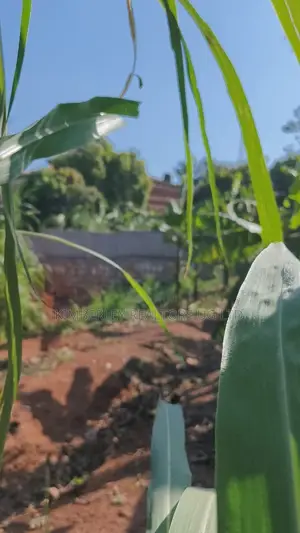 35 Decimals Prime Land for Sale in Kawempe Ttula