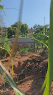35 Decimals Prime Land for Sale in Kawempe Ttula - 5