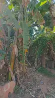 15 Commercial Decimals of Prime Land for Sale in Kawempe Ttula - 3