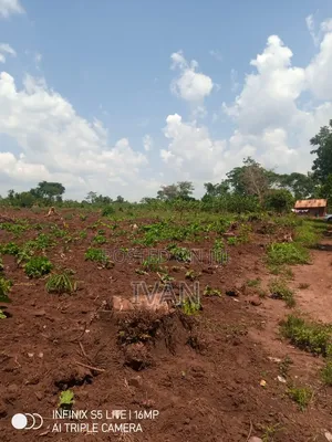 Land for Sale in Bulami, Zirobwe