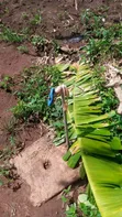 Land for Sale in Bulami, Zirobwe - 3