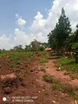 Land for Sale in Bulami, Zirobwe - 5