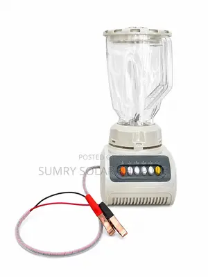Raf 12V DC Blender