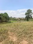 9 Acres Prime Land for Sale in Kamwenge, Western Uganda - 1