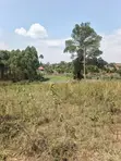 9 Acres Prime Land for Sale in Kamwenge, Western Uganda - 2