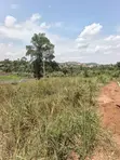 9 Acres Prime Land for Sale in Kamwenge, Western Uganda - 3