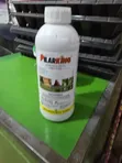 Pilarking Imidacloprid Termite Killer 1L - 3