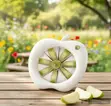 Brand New Apple Slicer - 2