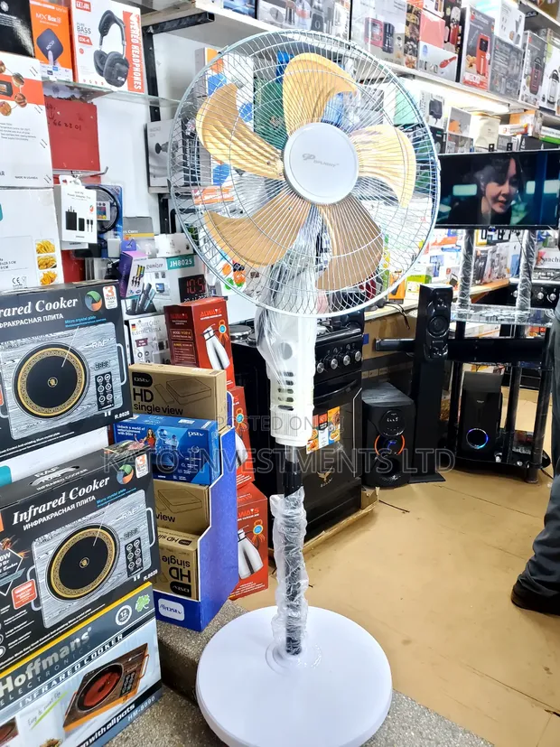 18 Inch Dp Stand Fan - 1