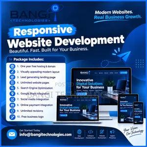 Professional Website Development & IT Services