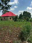 28 Decimals Land for Sale in Busika Vumba - 1