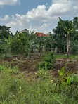 28 Decimals Land for Sale in Busika Vumba - 2