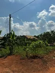 28 Decimals Land for Sale in Busika Vumba - 3