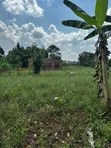 28 Decimals Land for Sale in Busika Vumba - 4