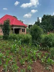 28 Decimals Land for Sale in Busika Vumba - 5