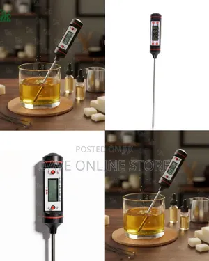 Digital Probe Thermometer (WT-1)