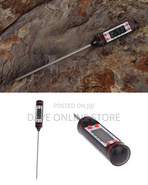 TP-101 Digital Pen Type Thermometer - 1