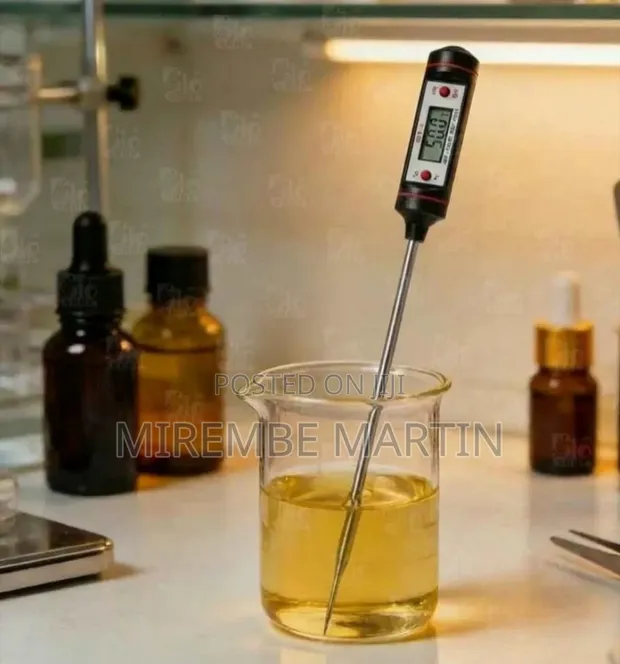 Digital Probe Thermometer (WT-1) - Stainless Steel Sensor - 1
