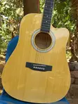 Electric Acoustic Guitar - 1