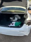 Toyota Mark X 2013 White - 5