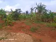 Residential Land for Sale in Jomayi Lunya, Seguku Katale - 2