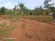 Residential Land for Sale in Jomayi Lunya, Seguku Katale - 5