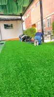 Modern Tuff Grass Per Square Meter - 1