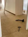 Floor Soft Carpets - Wall to Wall Installation - 2