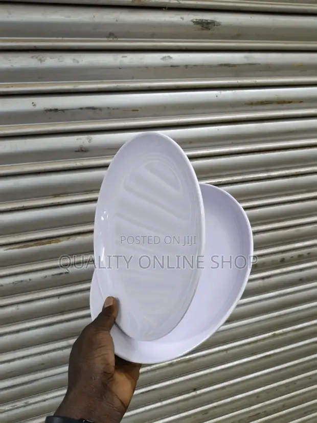 Unbreakable Melamine Dinner Plates - 12pcs - 1