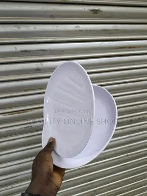 Unbreakable Melamine Dinner Plates - 12pcs