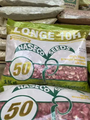 Longe10H Maize Seeds - 1kg
