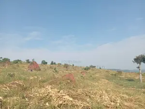 400 Acres of Fertile Land for Settlement & Agriculture