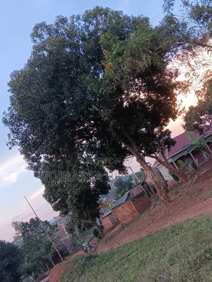 Residential Land for Sale in Katooke