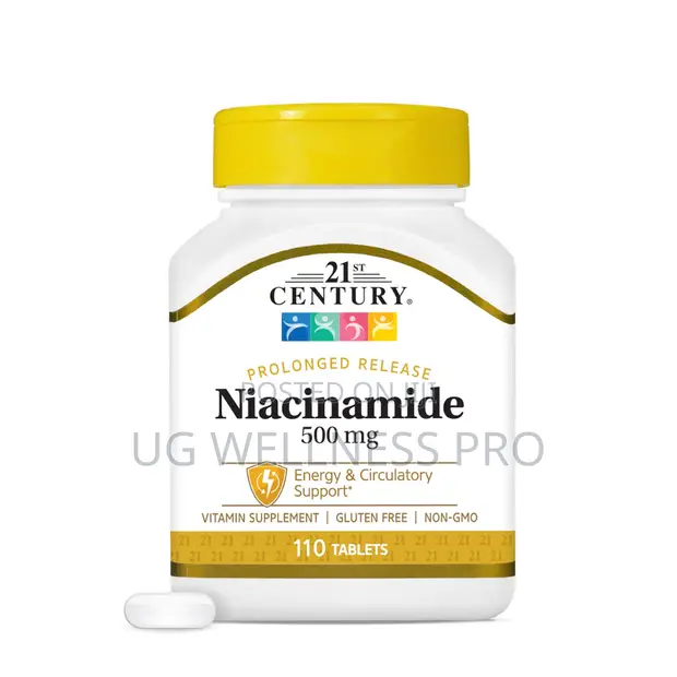 21st Century Niacinamide 500mg Prolonged Release, No Flush, 110 Count - 1