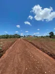 Plots for Sale in Kira-Kitukutwe - 3