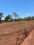 Plots for Sale in Kira-Kitukutwe - 4