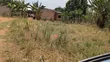 Plot for Sale in Matugga Kavule Town - 1