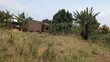 Plot for Sale in Matugga Kavule Town - 2