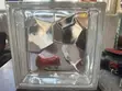 Glass Blocks for Building - 3