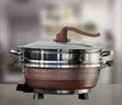 Brand New Lec Electric Multi-Cooker and Steamer Set - 2