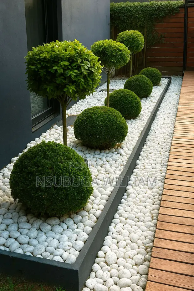 Compound Design & Green Growth Services - 1