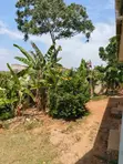 5 Rental Units & Stores for Sale in Kawempe Kagoma - 3