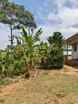 5 Rental Units & Stores for Sale in Kawempe Kagoma - 4